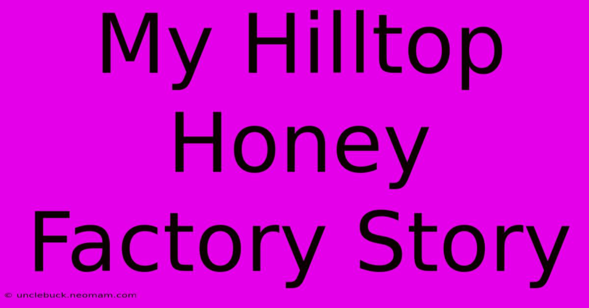 My Hilltop Honey Factory Story