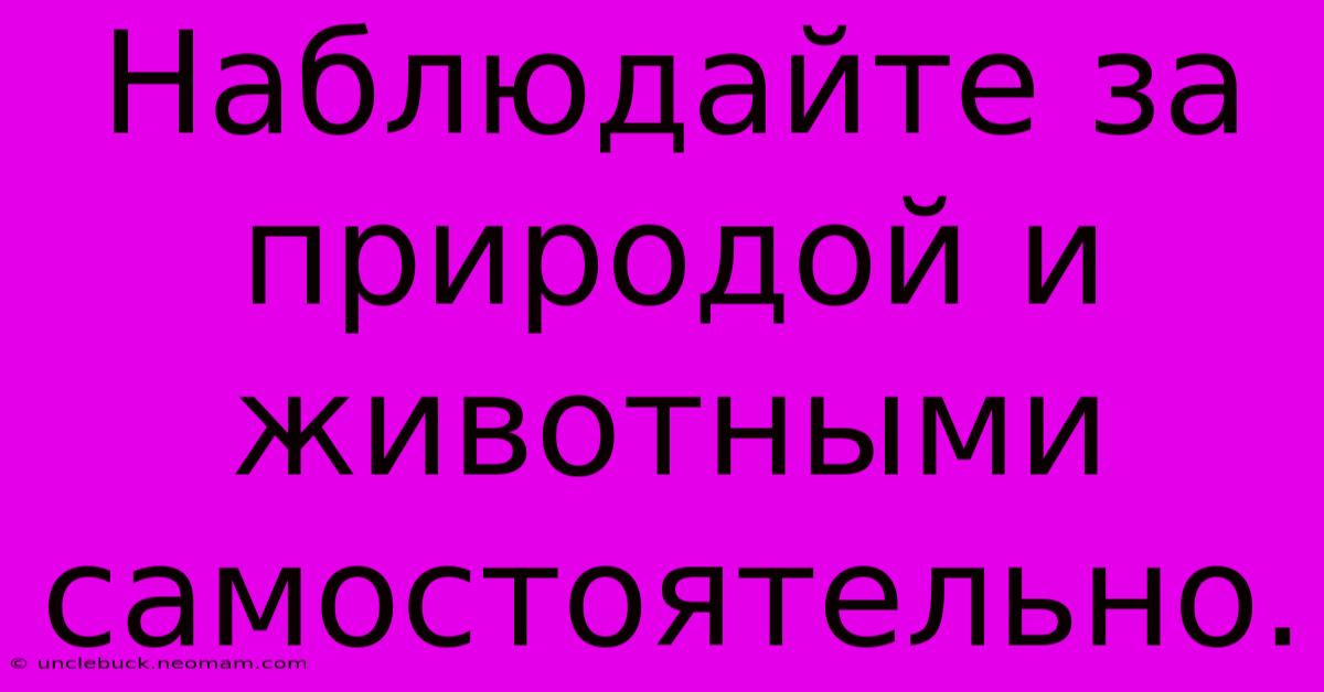 Наблюдайте За Природой И Животными Самостоятельно.