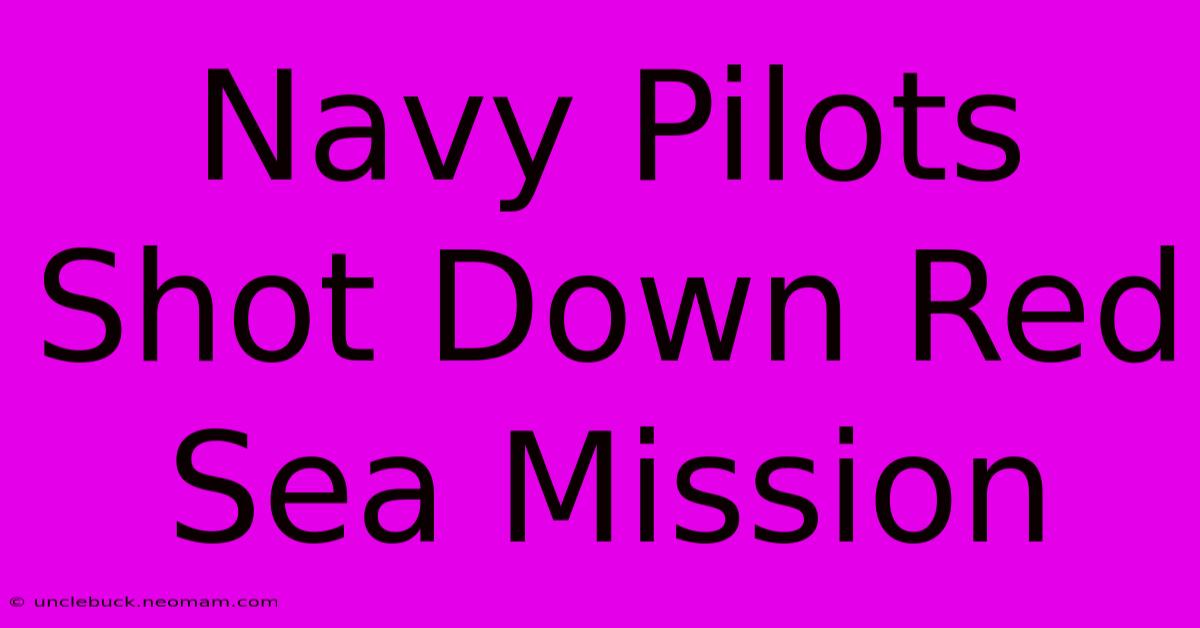 Navy Pilots Shot Down Red Sea Mission