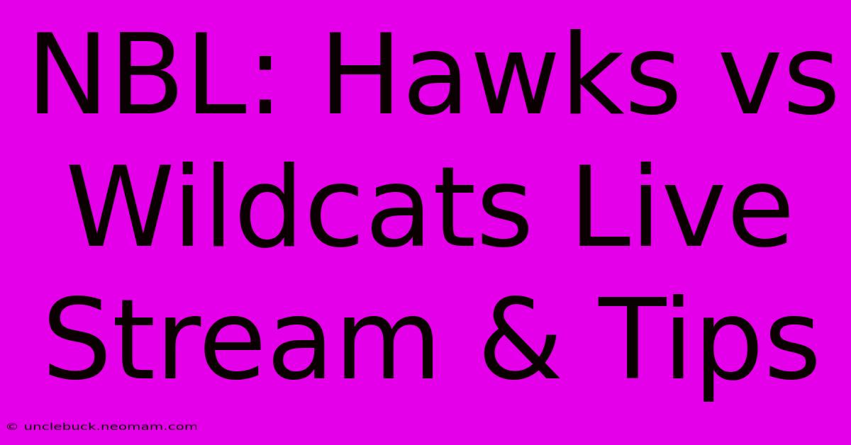 NBL: Hawks Vs Wildcats Live Stream & Tips