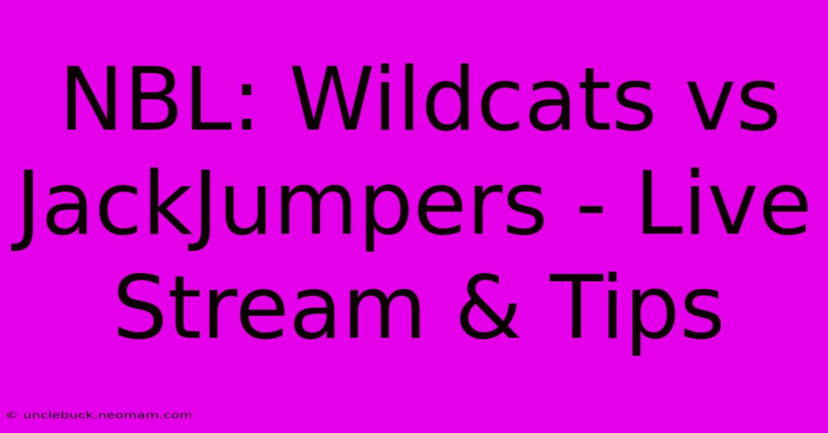 NBL: Wildcats Vs JackJumpers - Live Stream & Tips