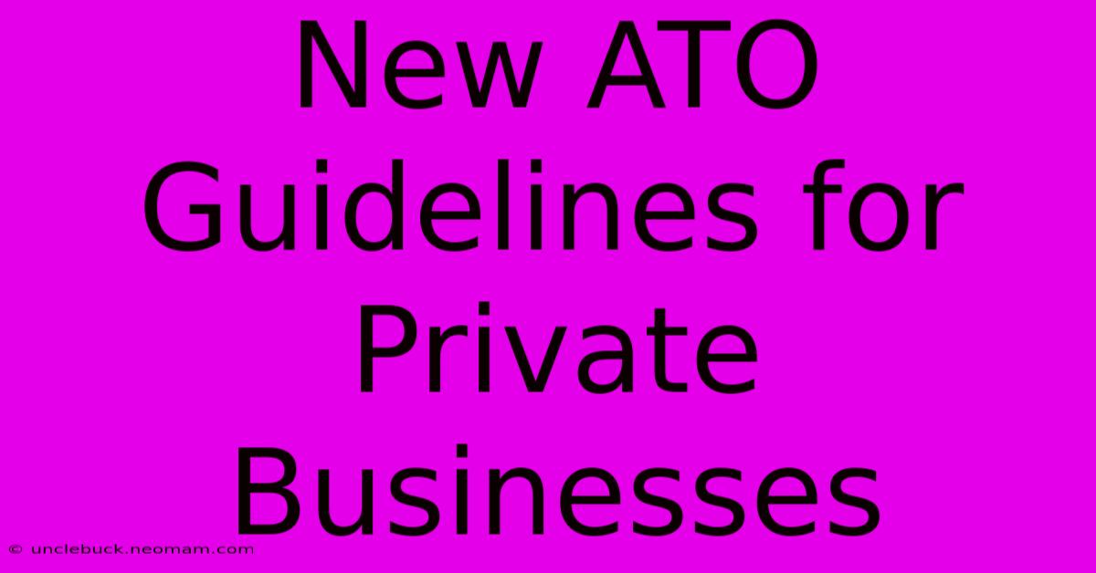 New ATO Guidelines For Private Businesses