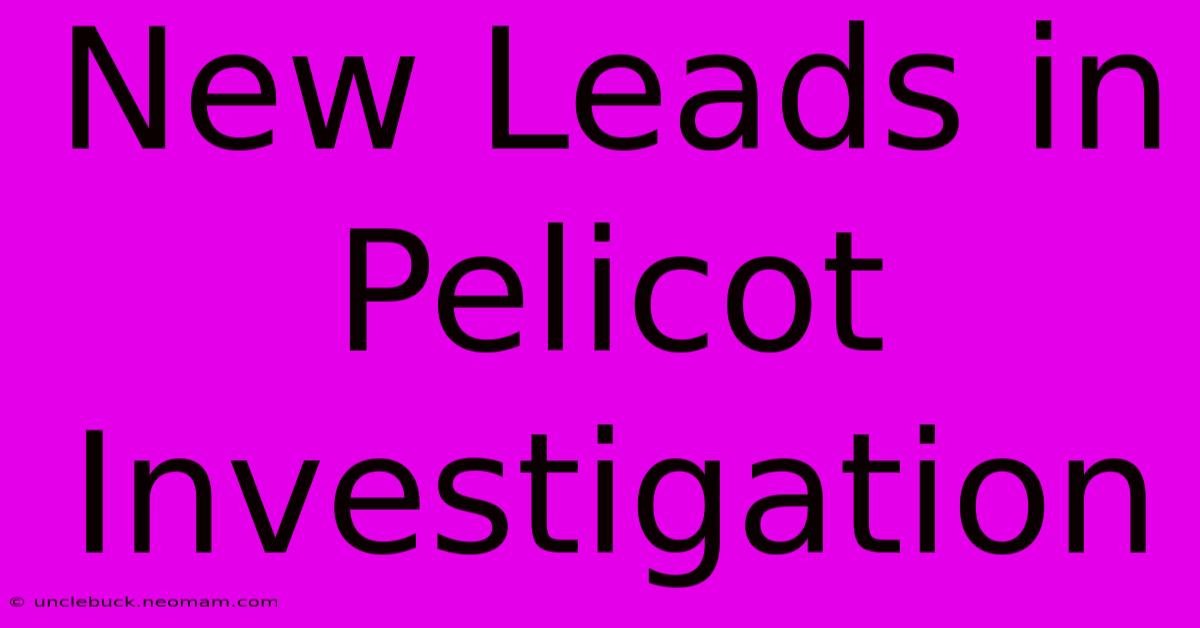 New Leads In Pelicot Investigation