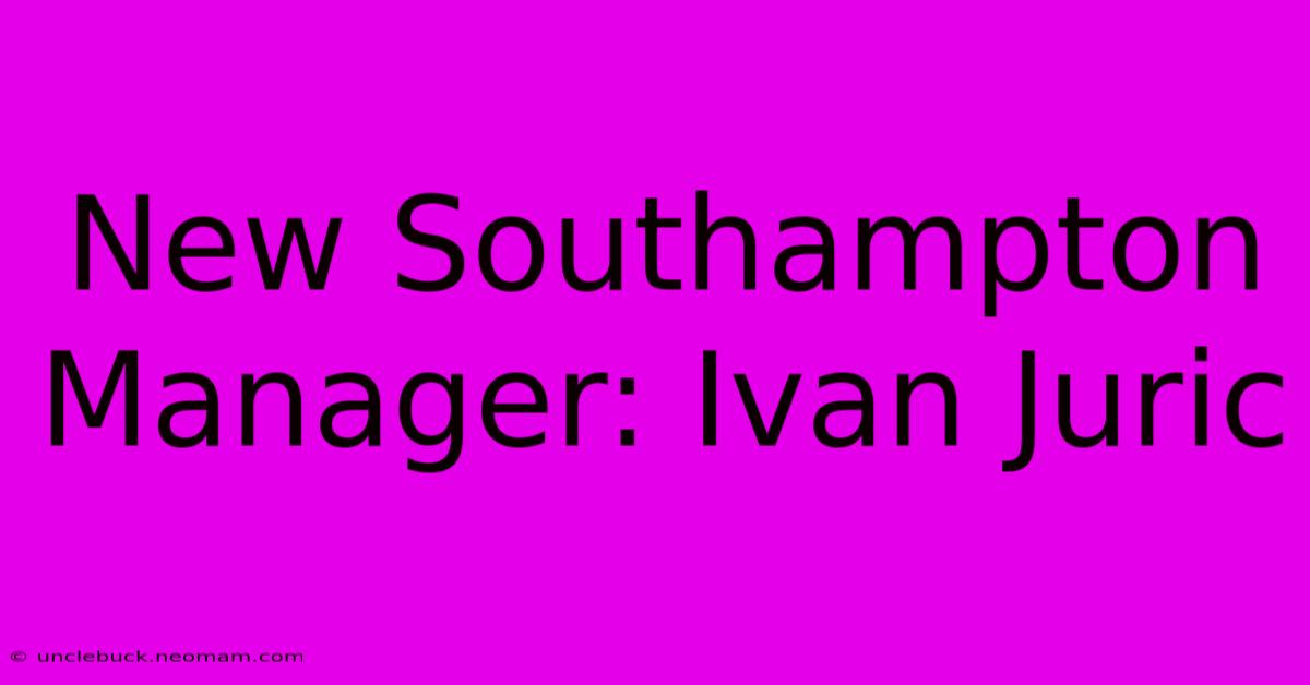 New Southampton Manager: Ivan Juric