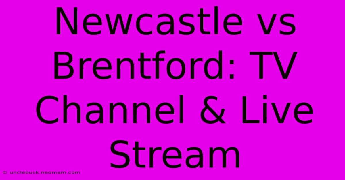 Newcastle Vs Brentford: TV Channel & Live Stream