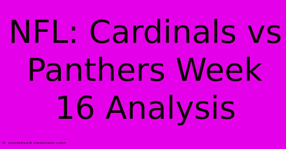 NFL: Cardinals Vs Panthers Week 16 Analysis