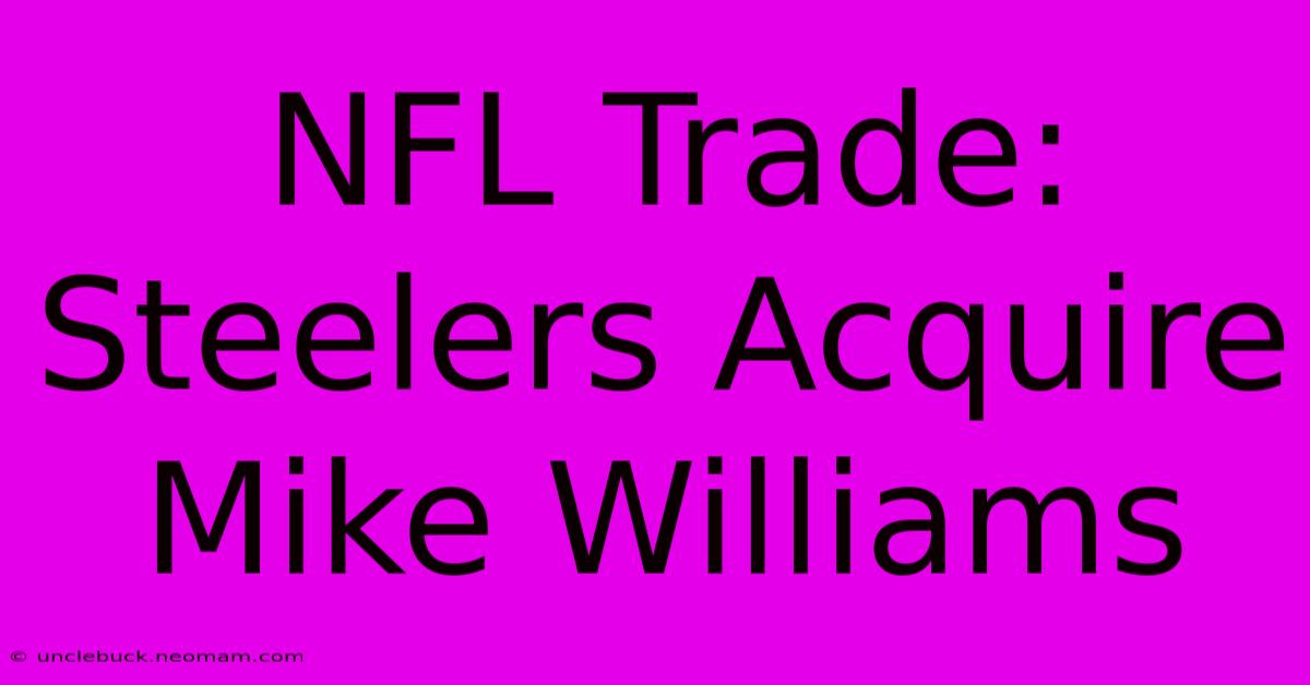 NFL Trade: Steelers Acquire Mike Williams