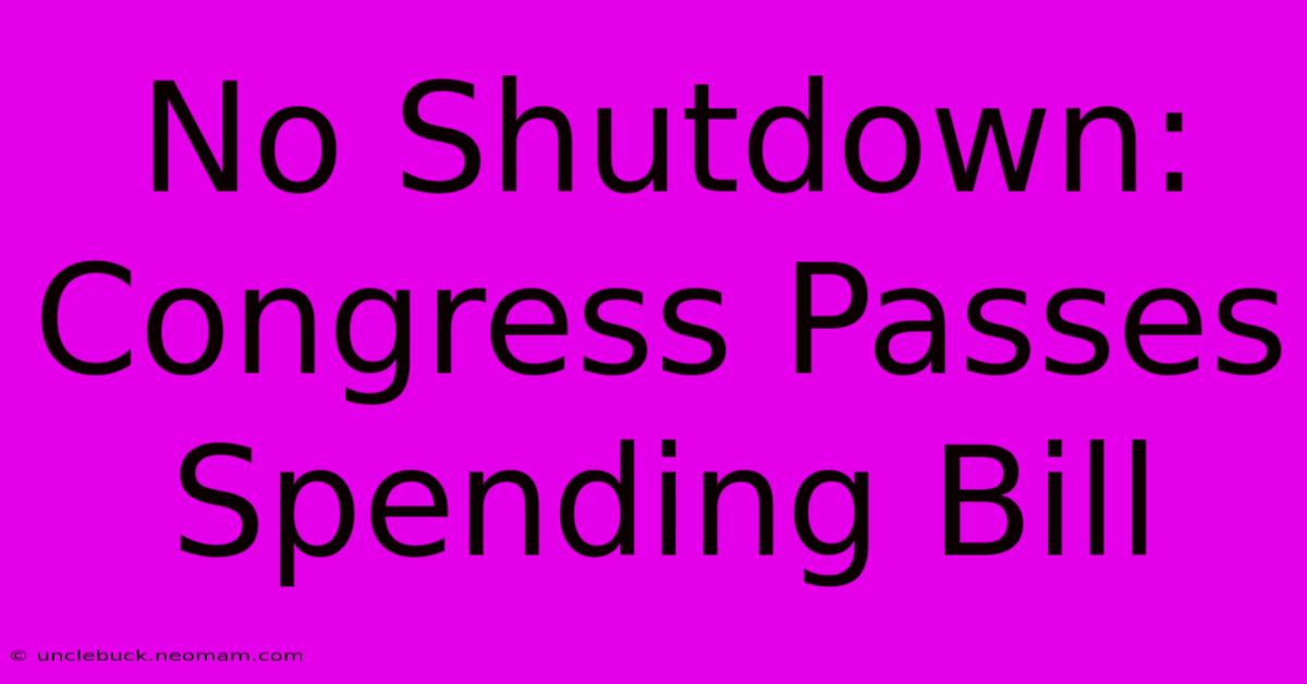 No Shutdown: Congress Passes Spending Bill