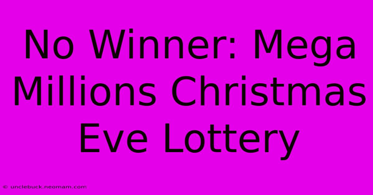 No Winner: Mega Millions Christmas Eve Lottery