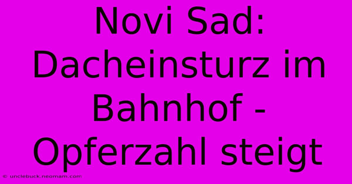 Novi Sad: Dacheinsturz Im Bahnhof - Opferzahl Steigt 