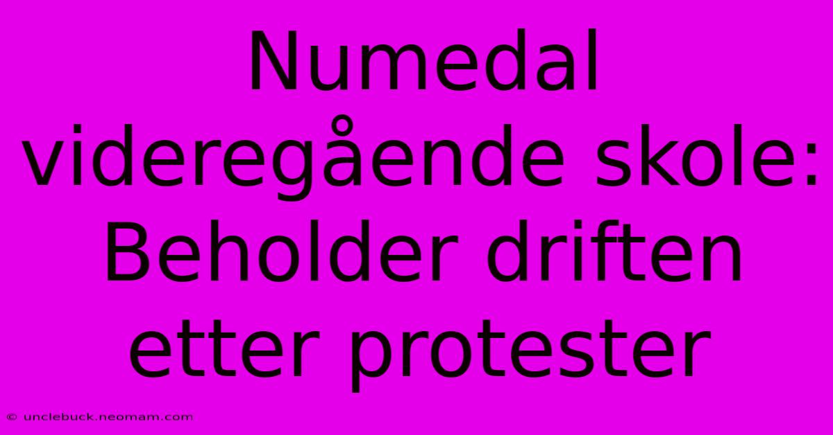 Numedal Videregående Skole: Beholder Driften Etter Protester