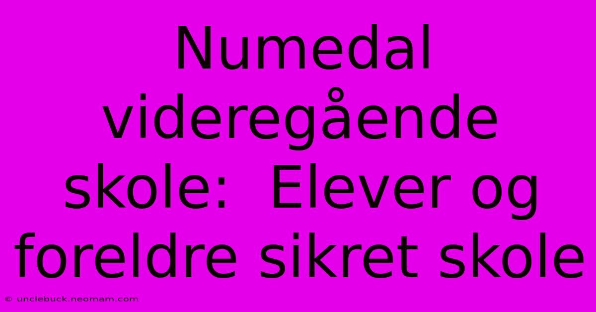 Numedal Videregående Skole:  Elever Og Foreldre Sikret Skole 