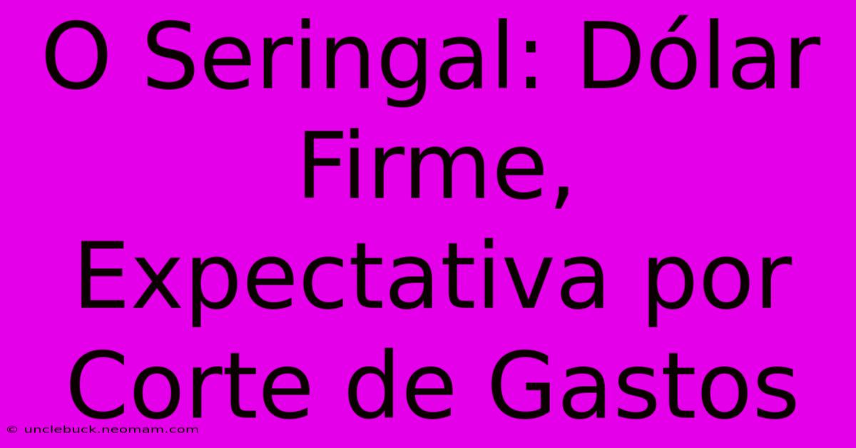 O Seringal: Dólar Firme, Expectativa Por Corte De Gastos