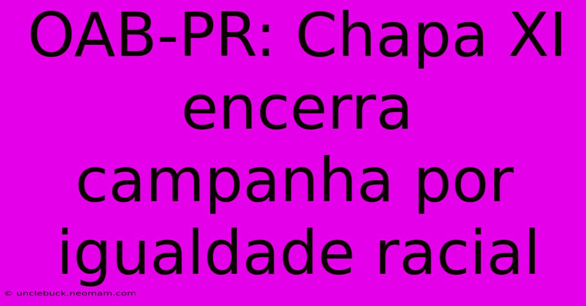 OAB-PR: Chapa XI Encerra Campanha Por Igualdade Racial