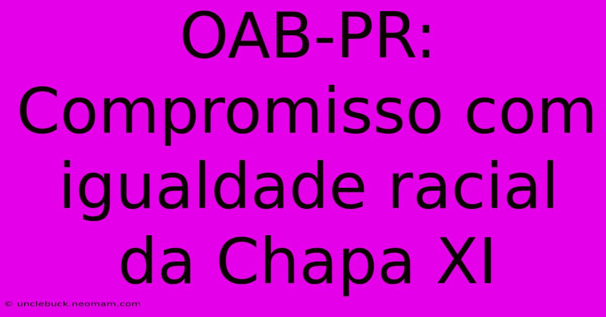 OAB-PR: Compromisso Com Igualdade Racial Da Chapa XI