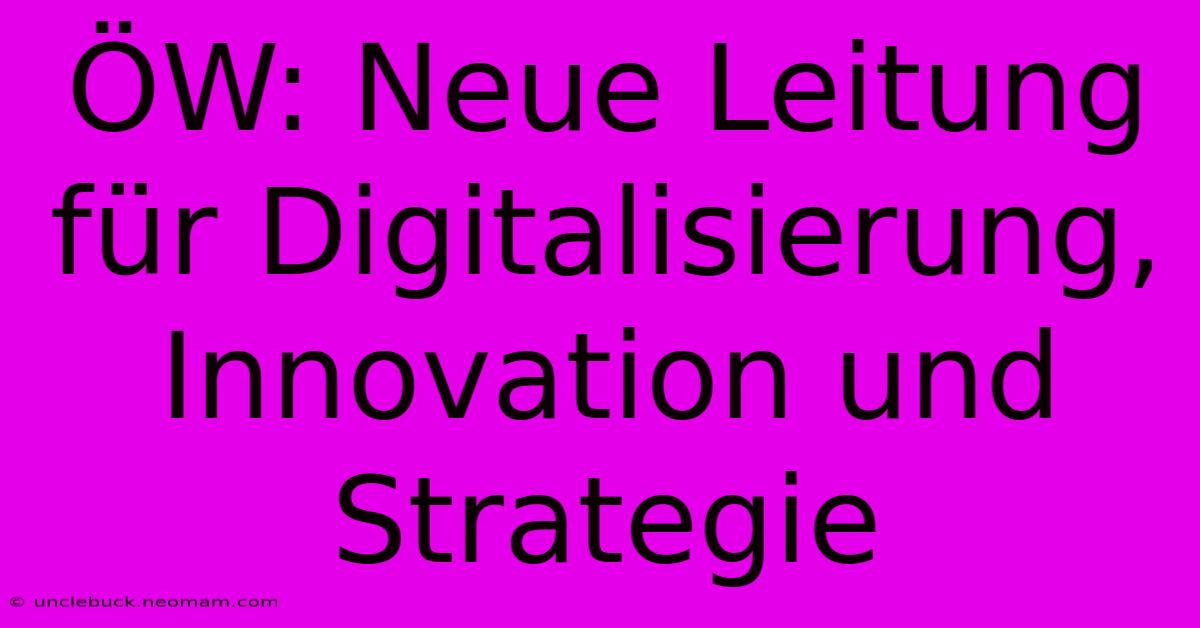 ÖW: Neue Leitung Für Digitalisierung, Innovation Und Strategie 