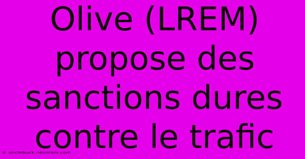 Olive (LREM) Propose Des Sanctions Dures Contre Le Trafic