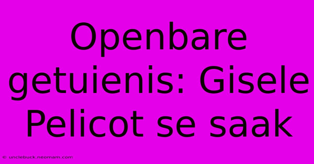 Openbare Getuienis: Gisele Pelicot Se Saak