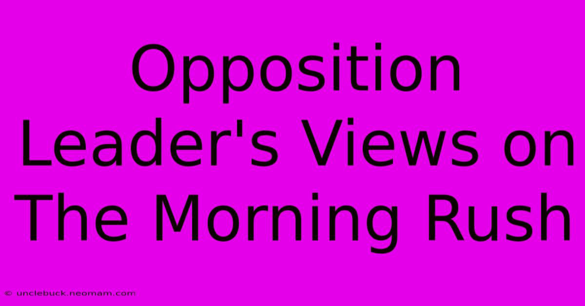 Opposition Leader's Views On The Morning Rush