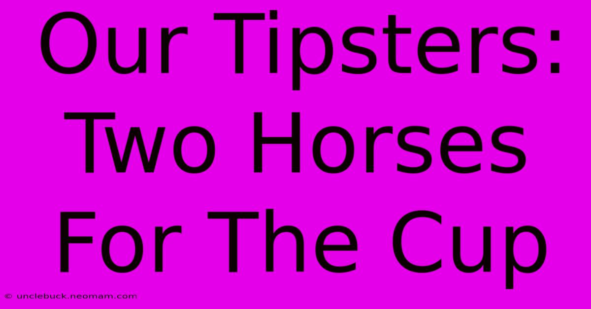 Our Tipsters: Two Horses For The Cup 