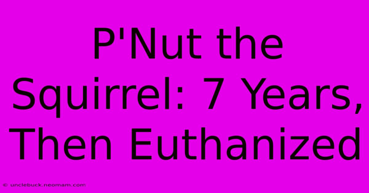 P'Nut The Squirrel: 7 Years, Then Euthanized 