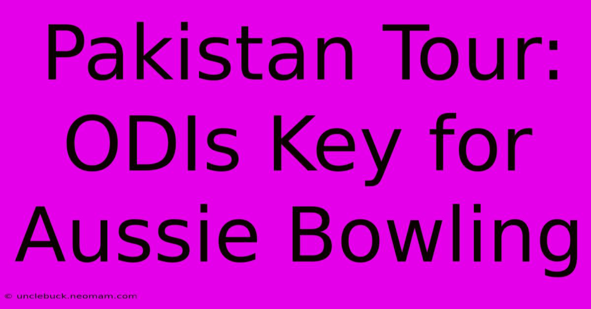 Pakistan Tour: ODIs Key For Aussie Bowling