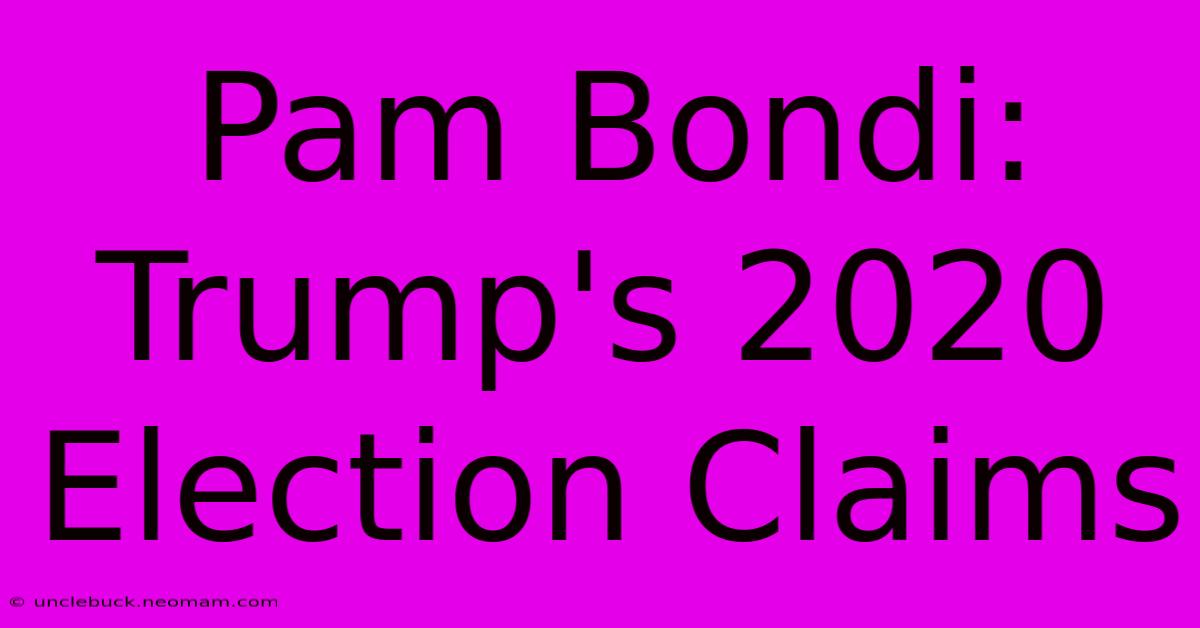 Pam Bondi: Trump's 2020 Election Claims