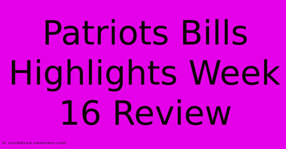 Patriots Bills Highlights Week 16 Review