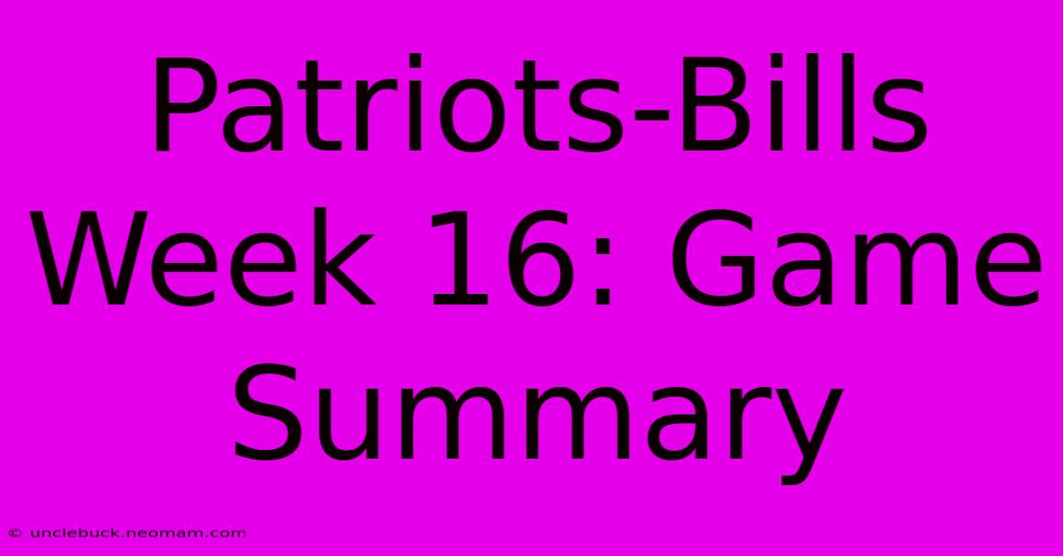 Patriots-Bills Week 16: Game Summary