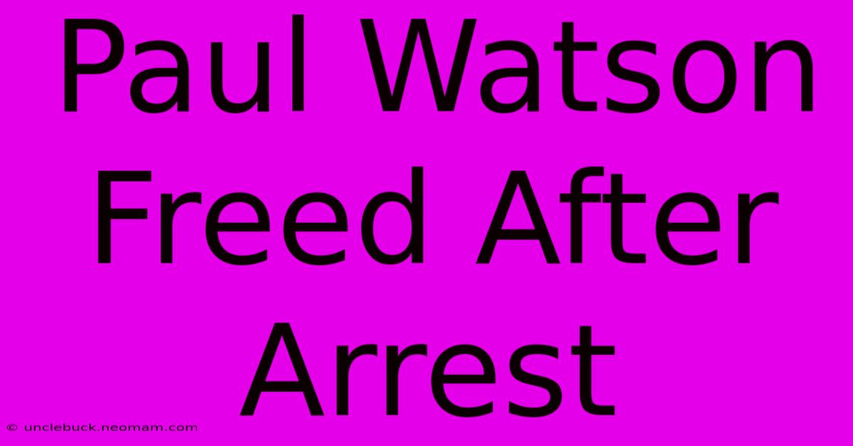 Paul Watson Freed After Arrest