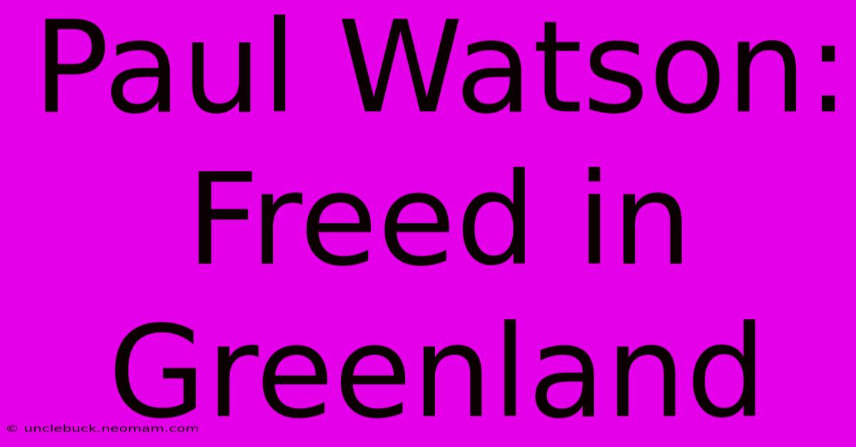 Paul Watson: Freed In Greenland