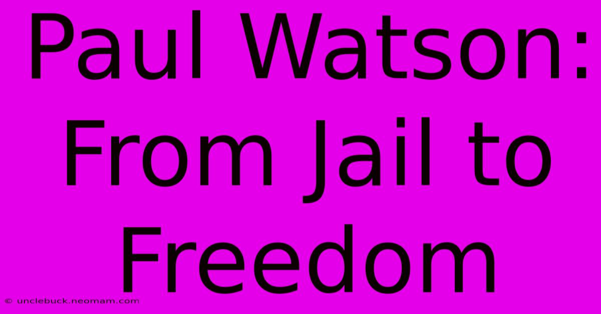 Paul Watson: From Jail To Freedom