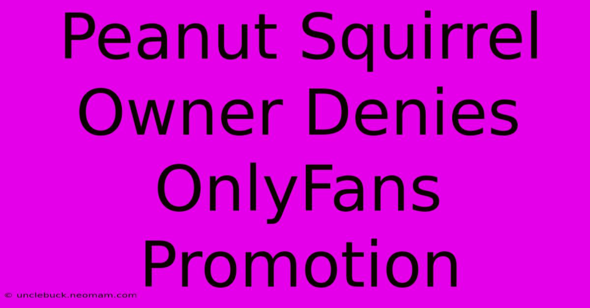 Peanut Squirrel Owner Denies OnlyFans Promotion