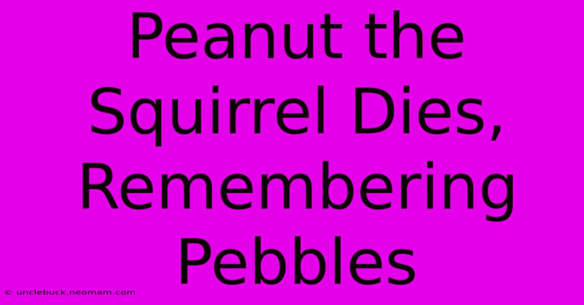 Peanut The Squirrel Dies, Remembering Pebbles