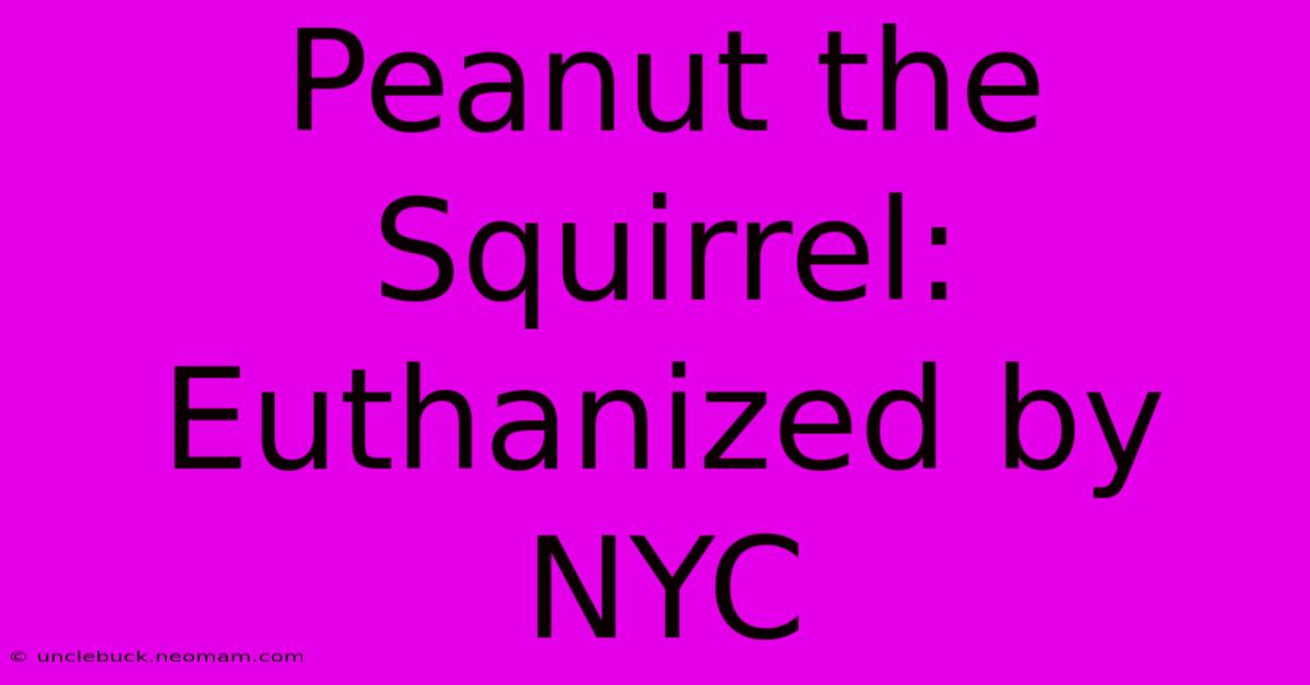 Peanut The Squirrel: Euthanized By NYC 