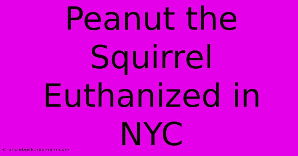 Peanut The Squirrel Euthanized In NYC