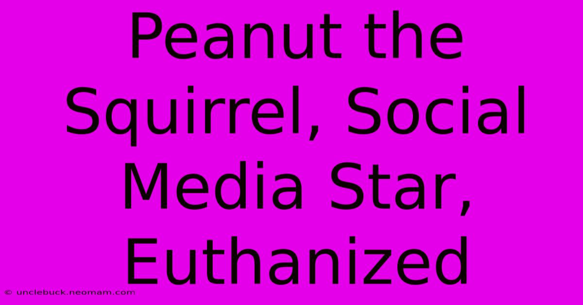 Peanut The Squirrel, Social Media Star, Euthanized