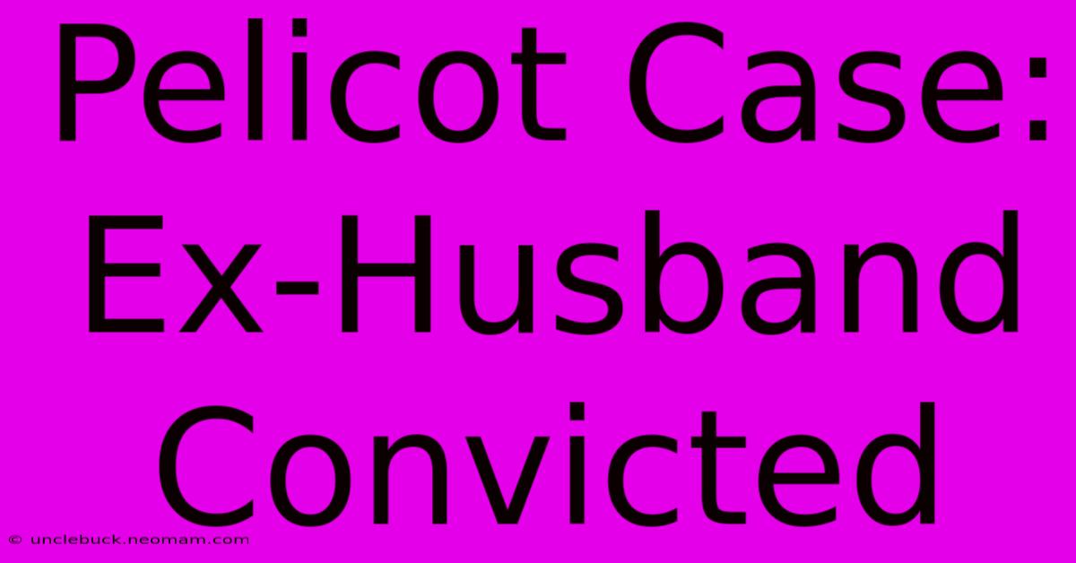 Pelicot Case: Ex-Husband Convicted