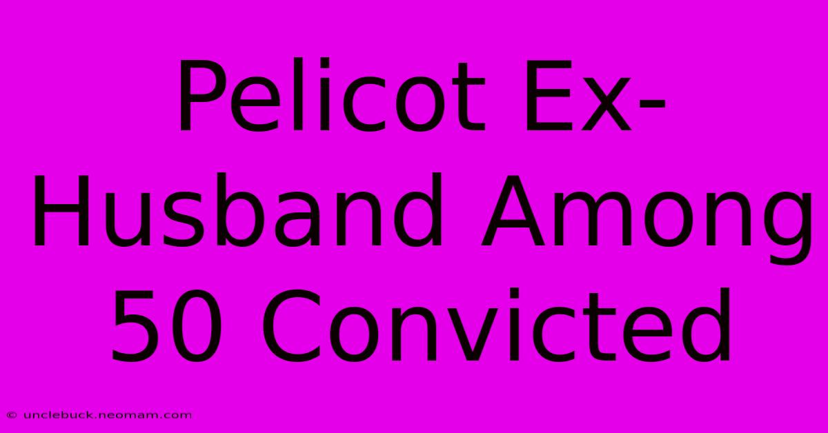 Pelicot Ex-Husband Among 50 Convicted