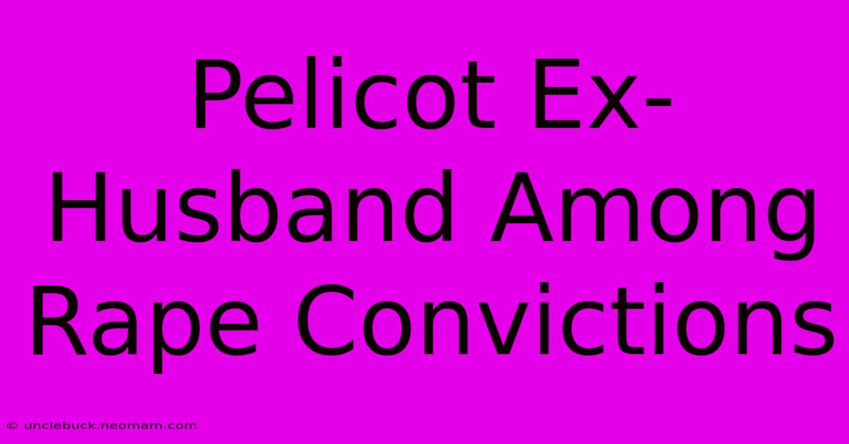 Pelicot Ex-Husband Among Rape Convictions