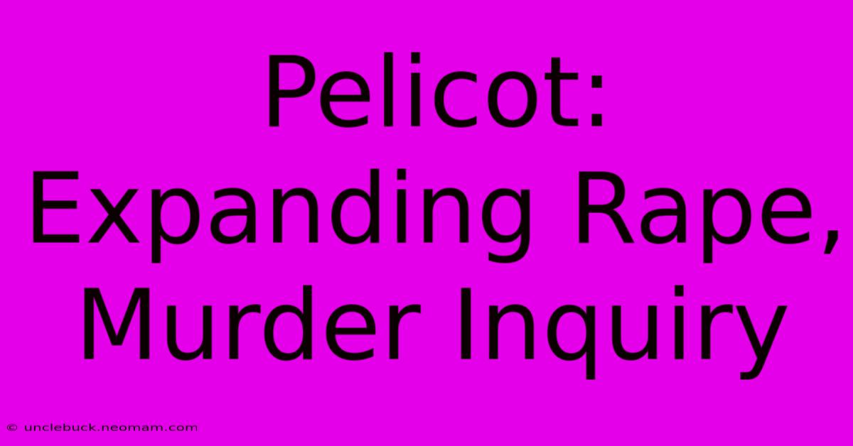 Pelicot: Expanding Rape, Murder Inquiry