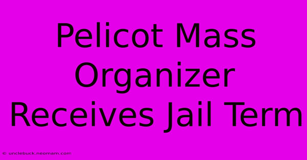 Pelicot Mass Organizer Receives Jail Term