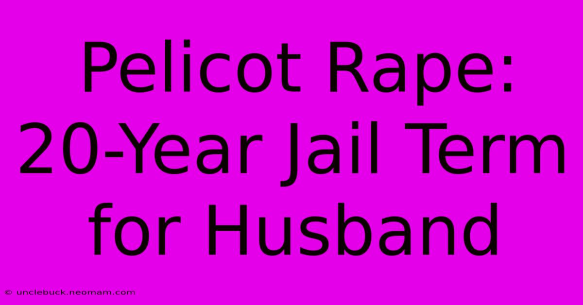 Pelicot Rape: 20-Year Jail Term For Husband