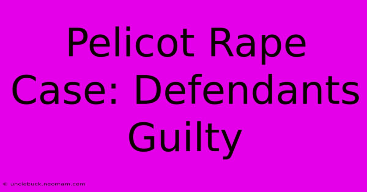 Pelicot Rape Case: Defendants Guilty