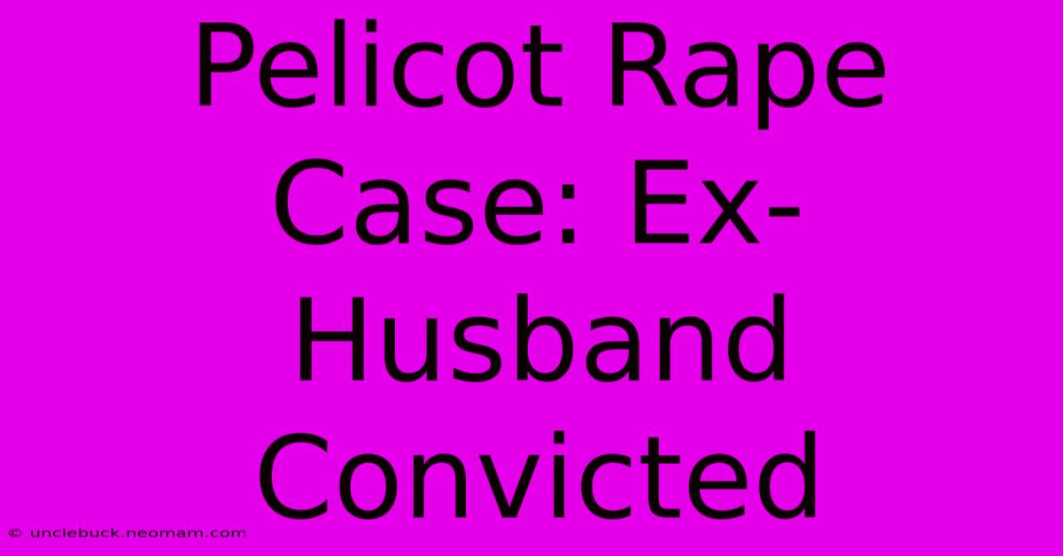 Pelicot Rape Case: Ex-Husband Convicted