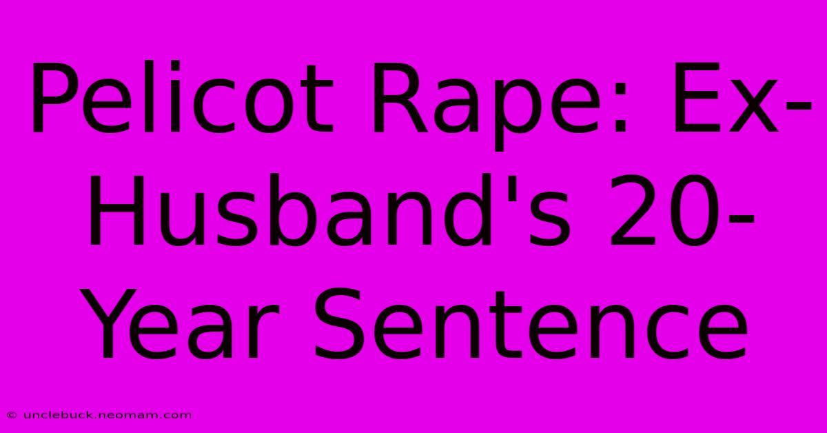 Pelicot Rape: Ex-Husband's 20-Year Sentence