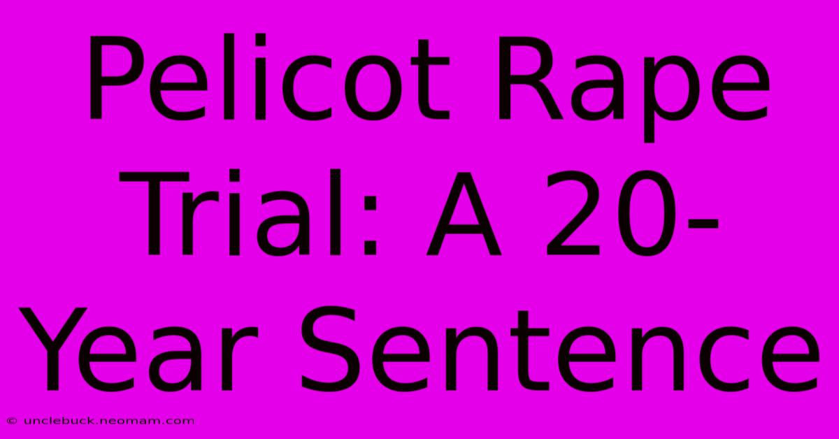 Pelicot Rape Trial: A 20-Year Sentence