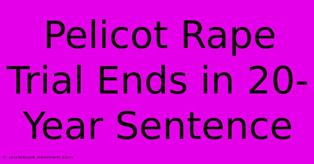 Pelicot Rape Trial Ends In 20-Year Sentence