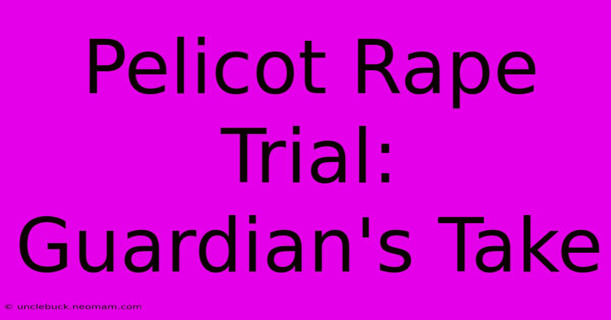 Pelicot Rape Trial: Guardian's Take