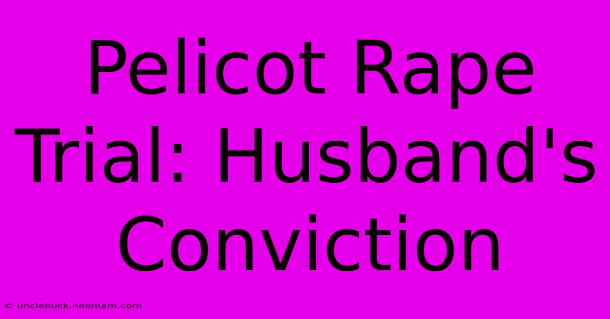 Pelicot Rape Trial: Husband's Conviction